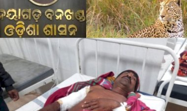 ନୟାଗଡ଼ ଜିଲ୍ଲା ନୂଆଗାଁ ବ୍ଲକରେ  ବାଘ ଆତଙ୍କ, ବାଘ ଆକ୍ରମଣ ରେ ଦୁଇ ଜଣ  ଗୁରୁତର ଅବସ୍ଥାରେ ଡାକ୍ତର ଖାନାରେ ଭର୍ତ୍ତି ।।